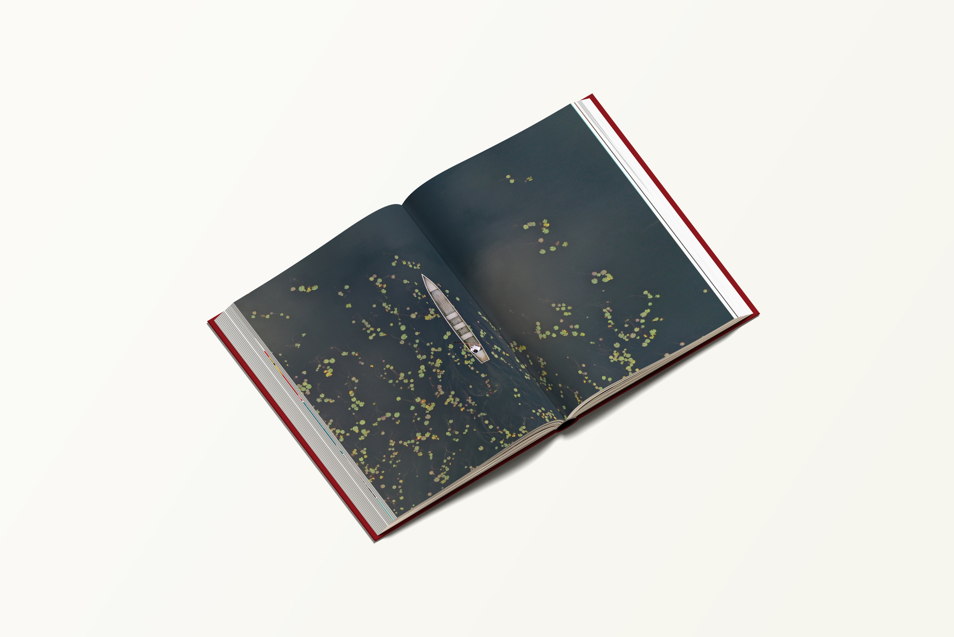 LIEFS | LIBRO DE FOTOGRAFIA